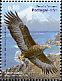 White-tailed Eagle Haliaeetus albicilla  2009 Eagles, joint issue with Iran 