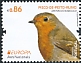 European Robin Erithacus rubecula