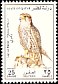 Lanner Falcon Falco biarmicus