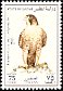 Barbary Falcon Falco pelegrinoides