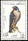 Peregrine Falcon Falco peregrinus