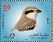 Isabelline Shrike Lanius isabellinus  2009 Birds Booklet