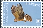 Hen Harrier Circus cyaneus