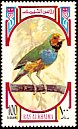 Gouldian Finch Chloebia gouldiae  1972 Birds 