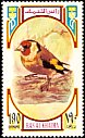 European Goldfinch Carduelis carduelis  1972 Birds 