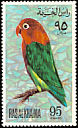 Lilian's Lovebird Agapornis lilianae  1972 Birds 