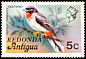 Rufous-throated Solitaire Myadestes genibarbis  1979 Overprint REDONDA on Antigua 1976.01 