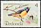 Hispaniolan Euphonia Chlorophonia musica  1980 Birds 