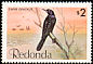 Carib Grackle Quiscalus lugubris  1980 Birds 