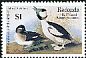 Bufflehead Bucephala albeola  1986 Audubon 