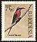 Southern Carmine Bee-eater Merops nubicoides  1971 Birds of Rhodesia 