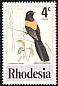 Yellow-mantled Widowbird Euplectes macroura  1977 Birds of Rhodesia 