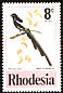 Magpie Shrike Urolestes melanoleucus  1977 Birds of Rhodesia 
