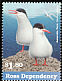 Antarctic Tern Sterna vittata  1997 Sea birds 
