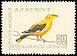 Eurasian Golden Oriole Oriolus oriolus  1959 Birds 