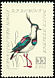 Northern Lapwing Vanellus vanellus  1959 Birds 