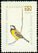 Great Tit Parus major  1959 Birds 