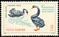 Black Swan Cygnus atratus  1964 Bucharest Zoo 8v set