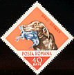 Eurasian Woodcock Scolopax rusticola  1965 Hunting dogs 8v set