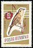 Great Reed Warbler Acrocephalus arundinaceus  1966 Song birds 