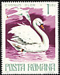 Mute Swan Cygnus olor  1977 Protected animals 6v set