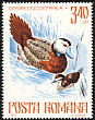 White-headed Duck Oxyura leucocephala  1977 Protected animals 6v set