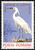 Little Egret Egretta garzetta  1980 European nature protection 6v set