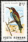 European Bee-eater Merops apiaster  1983 Birds of the Danube Delta 