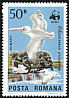 Dalmatian Pelican Pelecanus crispus  1984 WWF 