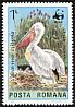 Dalmatian Pelican Pelecanus crispus  1984 WWF 