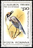 Yellow-crowned Night Heron Nyctanassa violacea  1985 Audubon 
