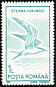 Common Tern Sterna hirundo  1991 Water birds 