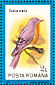 Eastern Bluebird Sialia sialis  1991 Birds Sheet