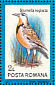 Western Meadowlark Sturnella neglecta  1991 Birds Sheet