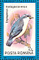 Madagascar Blue Vanga Cyanolanius madagascarinus  1991 Birds Sheet