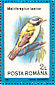 Black-chinned Honeyeater Melithreptus gularis  1991 Birds Sheet