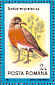 American Robin Turdus migratorius  1991 Birds Sheet