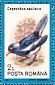 Oriental Magpie-Robin Copsychus saularis  1991 Birds Sheet