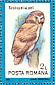 Pel's Fishing Owl Scotopelia peli