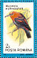 Red-headed Myzomela Myzomela erythrocephala  1991 Birds Sheet