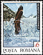 Bald Eagle Haliaeetus leucocephalus  1992 Wild animals 7v set