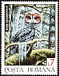 Spotted Owl Strix occidentalis  1992 Wild animals 7v set