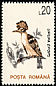 Eurasian Hoopoe Upupa epops