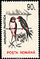Barn Swallow Hirundo rustica  1993 Birds No wmk