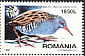 Water Rail Rallus aquaticus  1998 Night birds Booklet