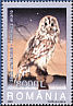 Ural Owl Strix uralensis