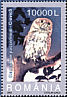 Eurasian Pygmy Owl Glaucidium passerinum  2003 Owls 