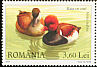 Red-crested Pochard Netta rufina