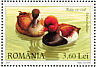 Red-crested Pochard Netta rufina  2007 Wild ducks and geese Sheet