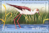 Black-winged Stilt Himantopus himantopus  2009 Birds of the Danube Delta Sheet